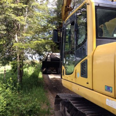 IMG-20170515-WA0103 (Medium)